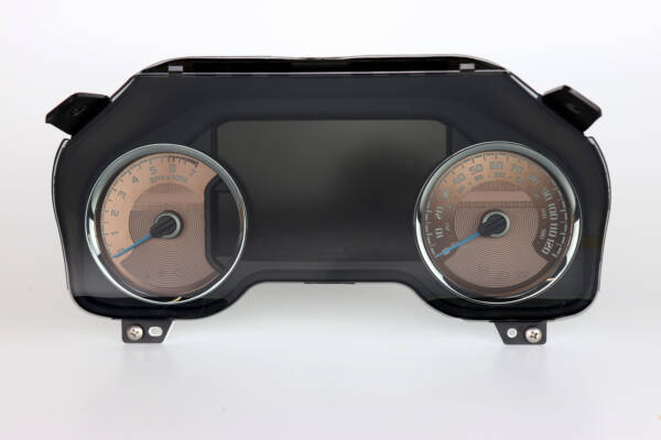 US Speedo Rose Gold Edition for 2015-2019 Ford F150