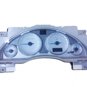 US Speedo Cluster Repair Service