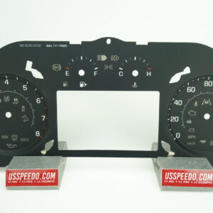 US Speedo OEM Replica