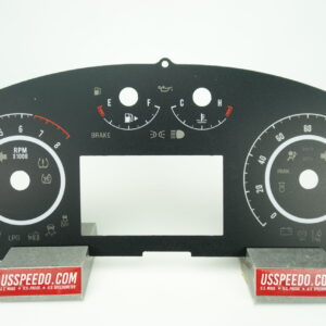 US Speedo OEM Replica